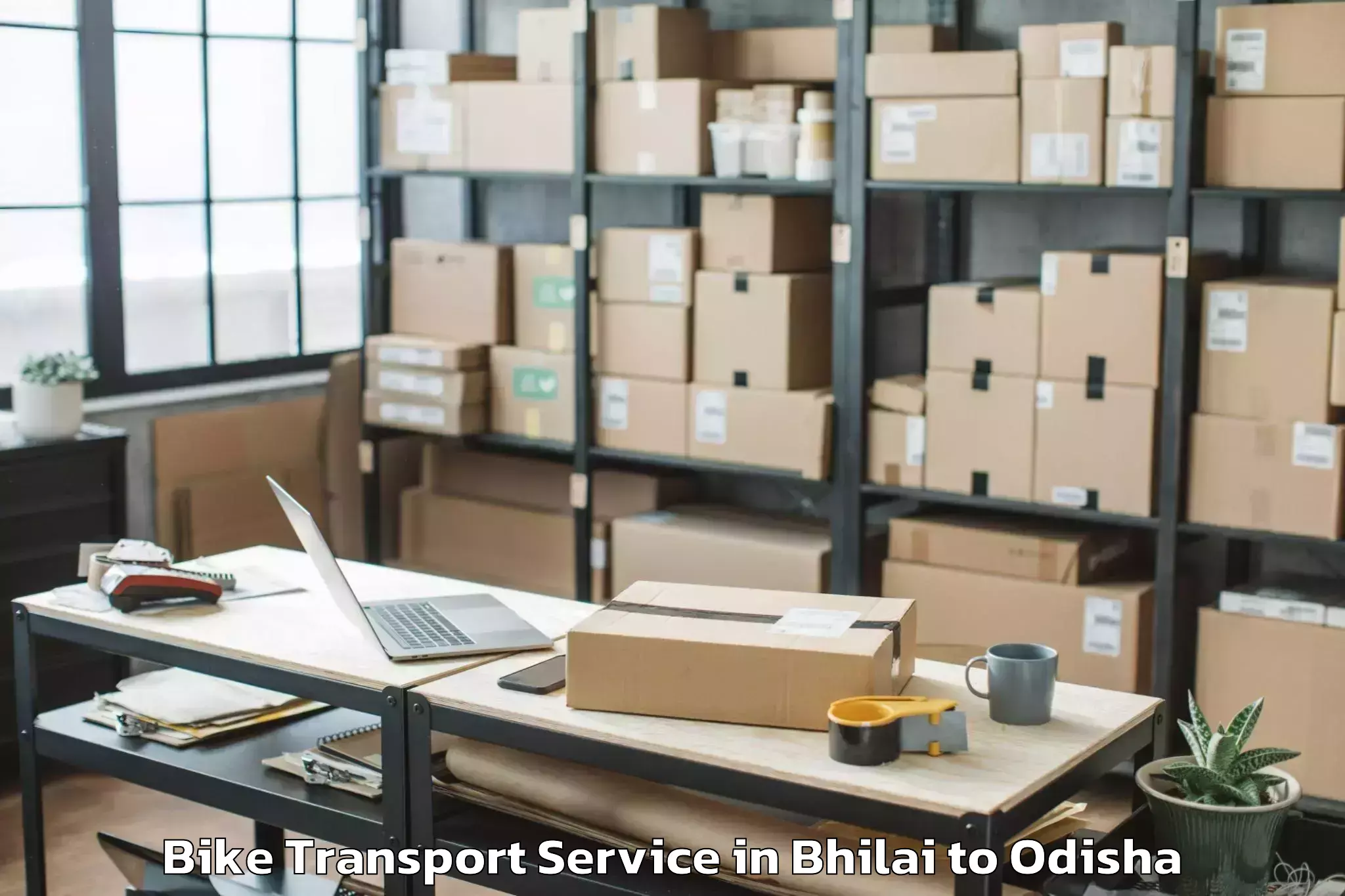 Hassle-Free Bhilai to Nimapada Bike Transport